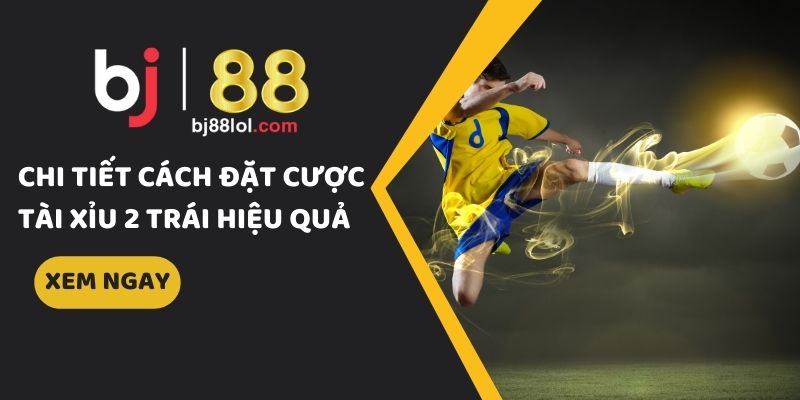 tài xỉu 2 trái là gì