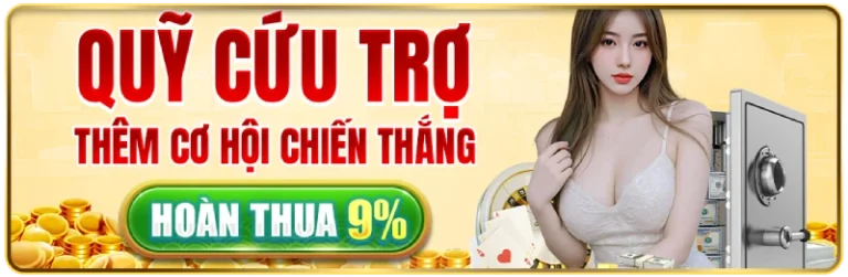 Quỹ cứu trợ QH88