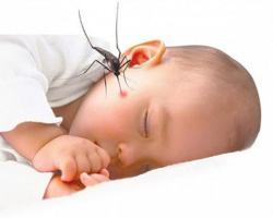 Xịt chống muỗi cho bé hiệu quả, an toàn nhất hiện nay
