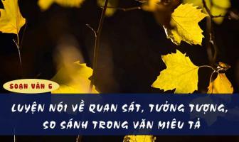 Bài soạn 