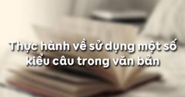 Bài soạn Thực hành về sử dụng một số kiểu câu trong văn bản (Ngữ Văn 11) hay nhất