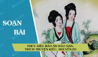 Bài soạn 