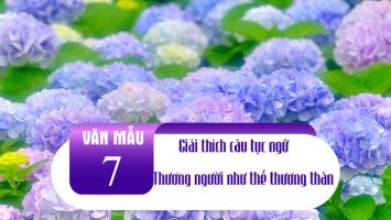 Bài văn giải thích câu tục ngữ 