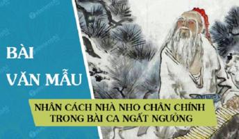 Bài văn phân tích nhân cách nhà nho chân chính trong 