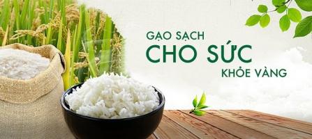 Đại lý bán gạo giá rẻ và uy tín nhất tỉnh Phú Thọ