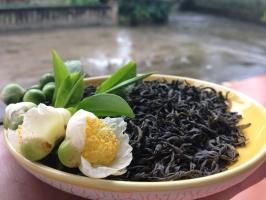 Cách hay nhất để khử mùi tủ lạnh