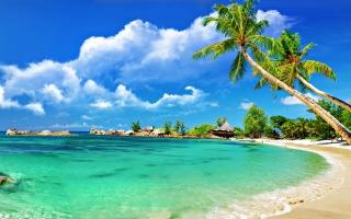 Gợi ý trang phục đi biển phù hợp và đẹp nhất