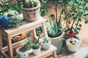 Homestay gần biển đẹp nhất tại Bà Rịa - Vũng Tàu