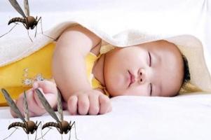 Loại kem chống muỗi cho bé tốt nhất hiện nay