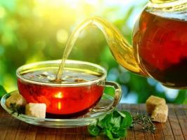 Loại trà ngon nhất thế giới hiện nay